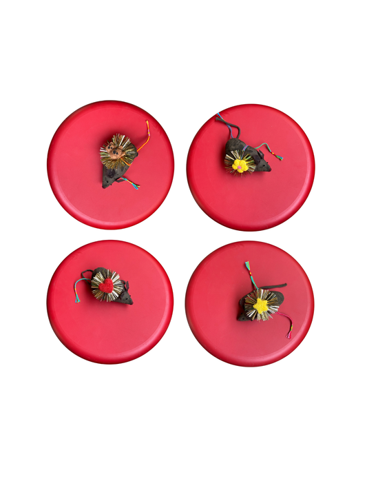 tangy pickle rakhi