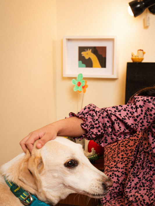 little giraffe frame